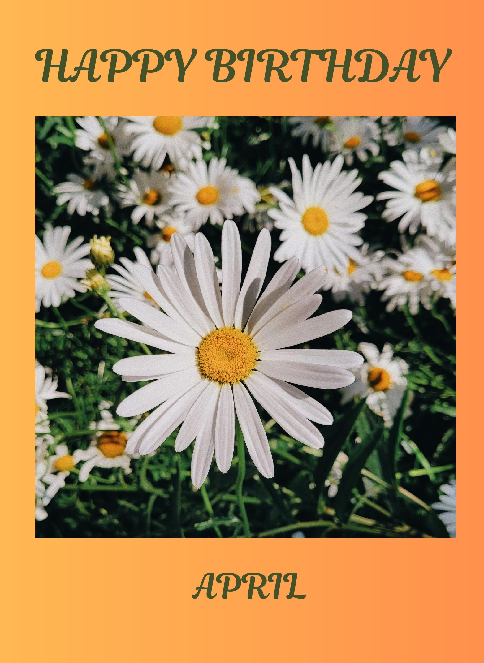 April Birth Flower Card